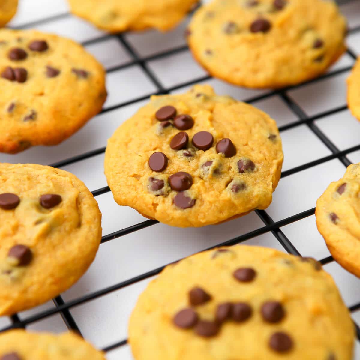 Vegan Chocolate Chip Pumpkin Cookies The Hidden Veggies