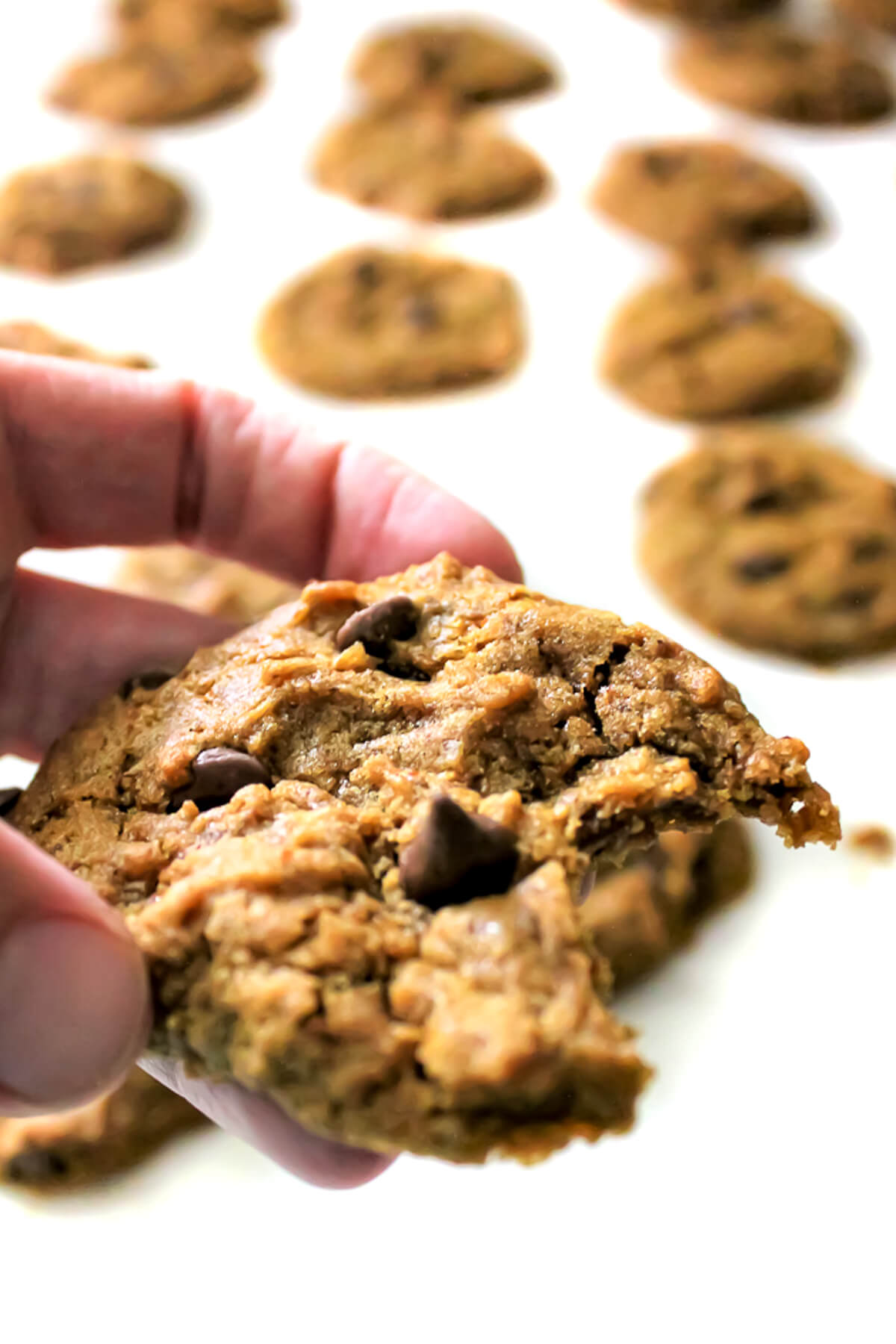 A close up of a soft batch gluten free and vegan carob chip cookie with a bite taken out of it.