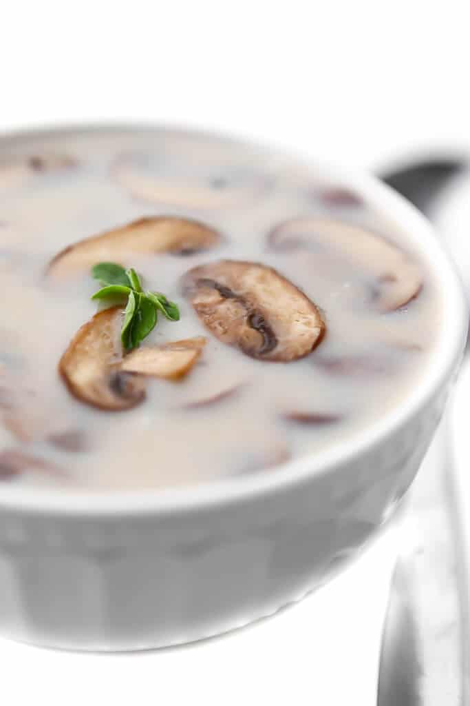 A white bowl filled with cream of mushroom soup with sliced mushrooms on top.