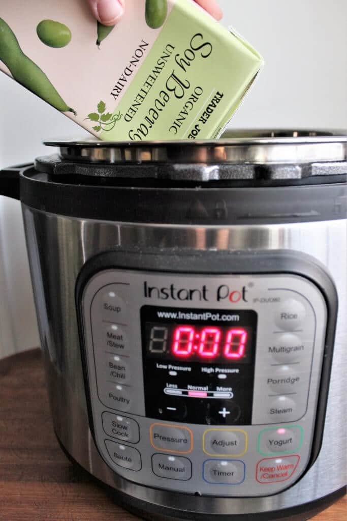 Non dairy yogurt in instant online pot