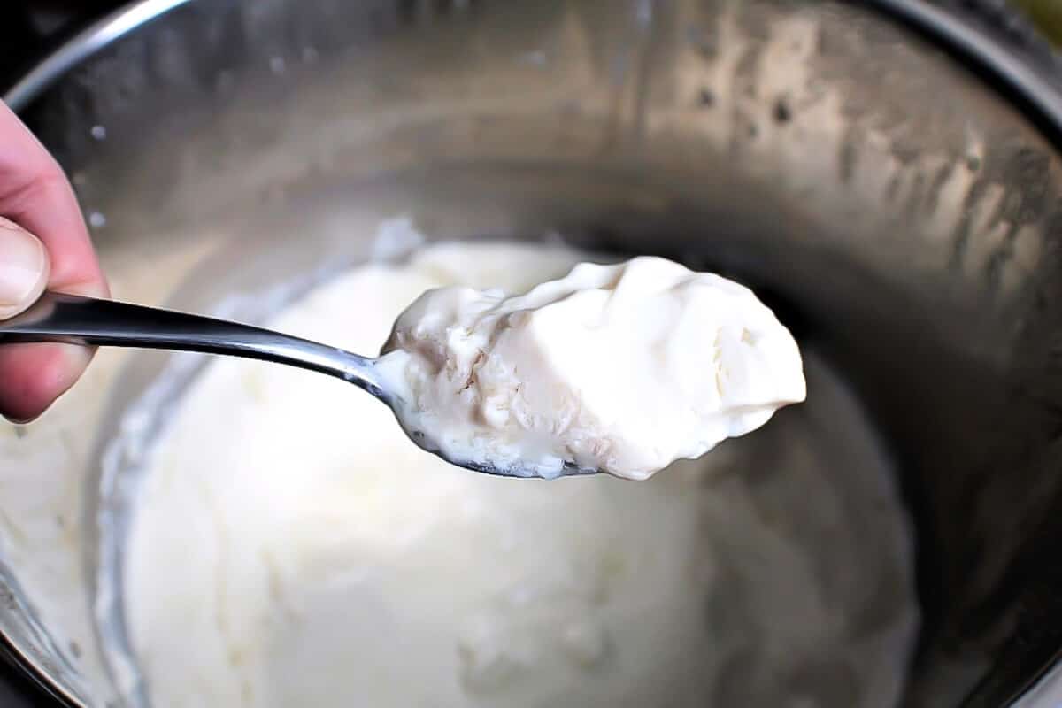 A spoonful of thick creamy soy yogurt out of the Instant pot.