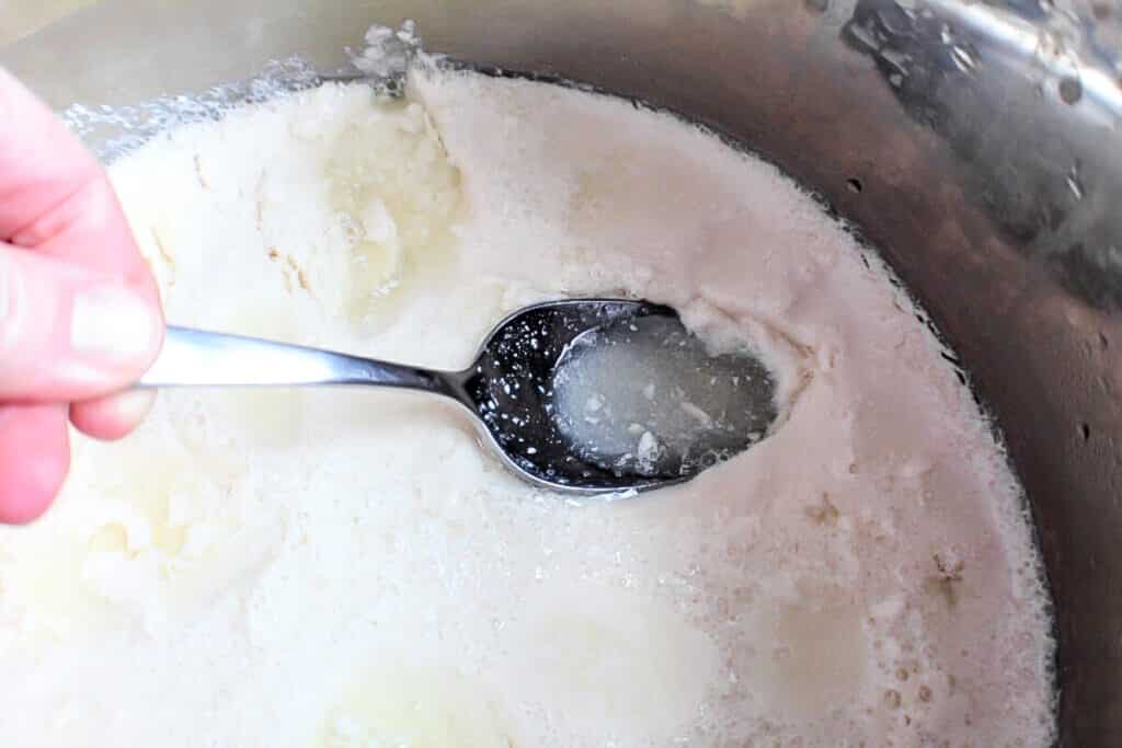 Soy Yogurt (How to Make Yogurt from Soy Milk) The Hidden Veggies