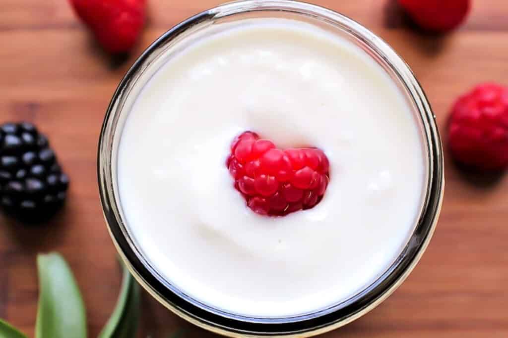 Soy Yogurt (How to Make Yogurt from Soy Milk) The Hidden Veggies