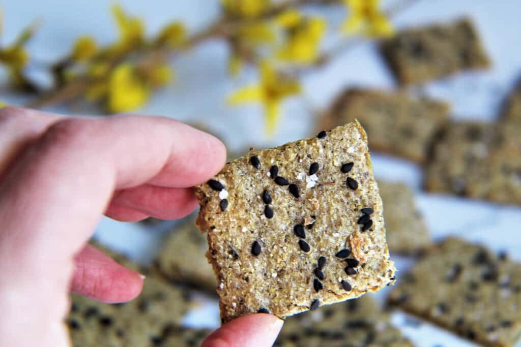 A close up of a gluten free cracker made with whole grain quinoa.