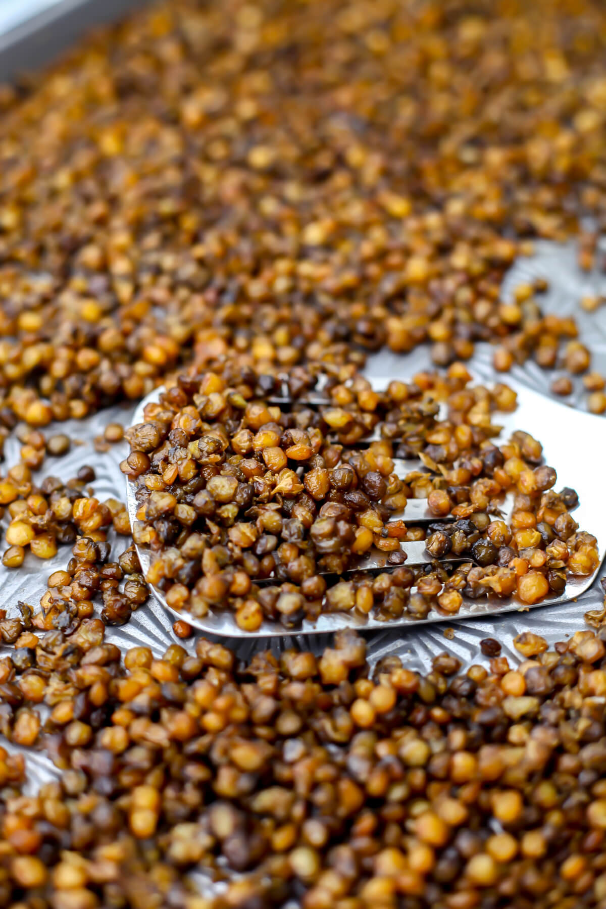A close up of green lentils roasting on a cookie sheet.