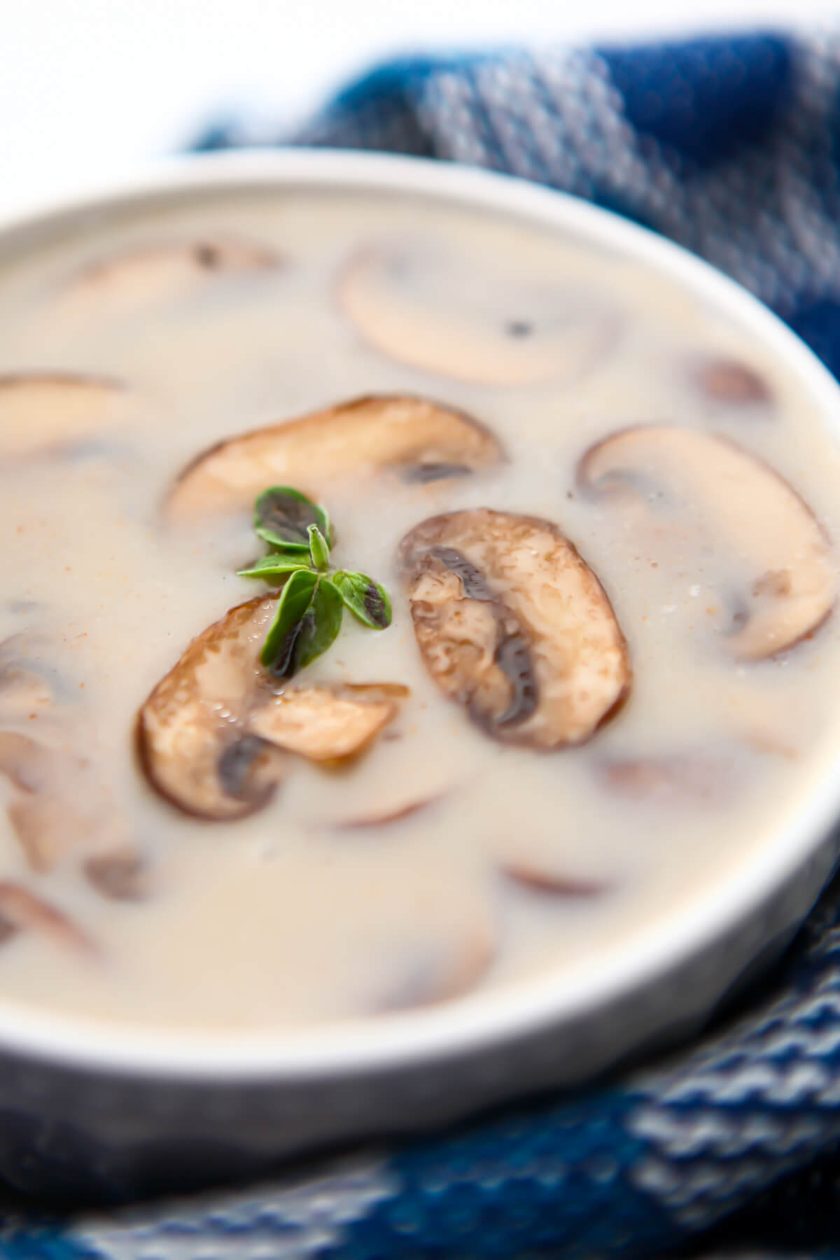 A white bowl filled with vegan cream of mushroom soup with some sliced mushrooms on top with a blue towel around it.