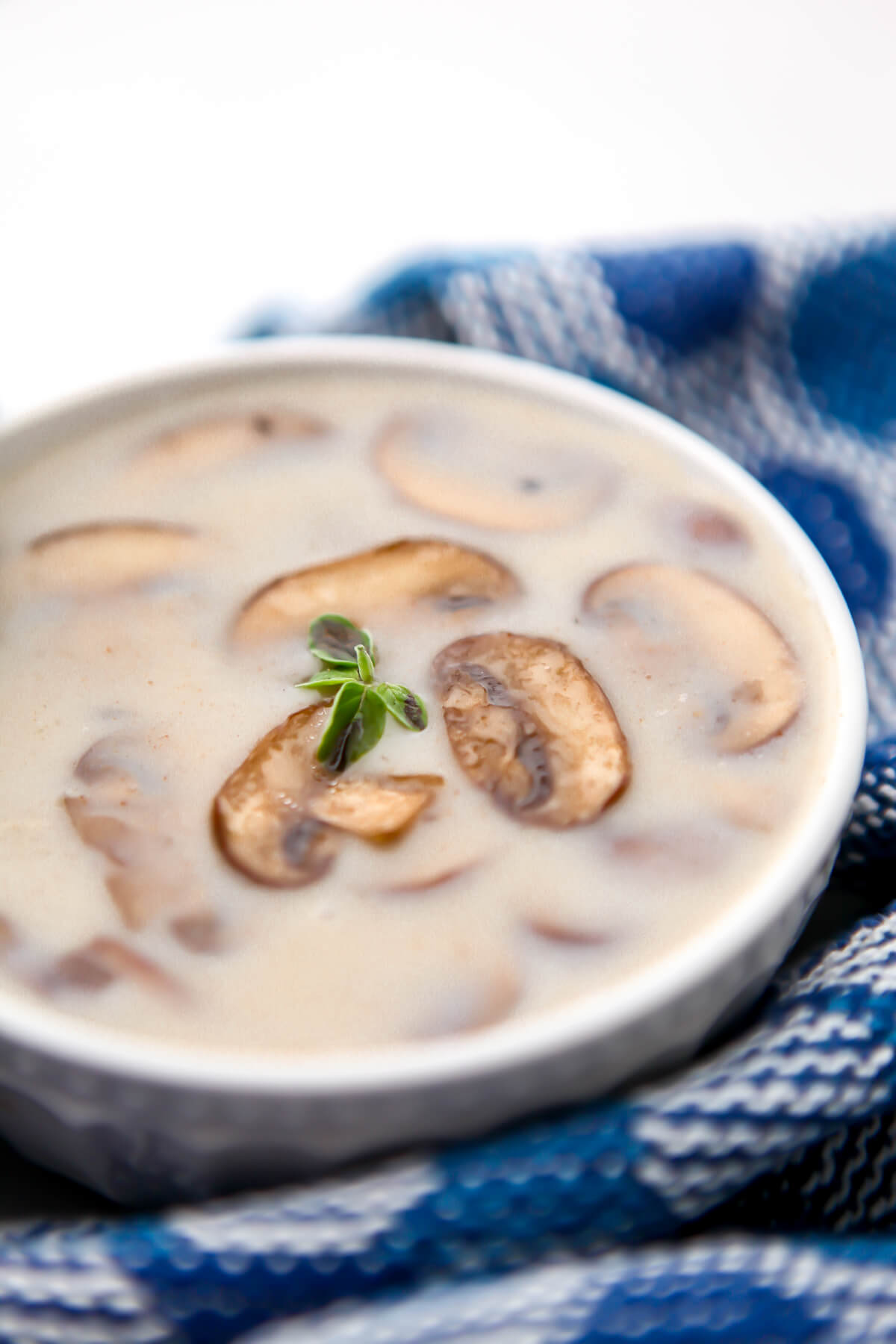 A white bowl filled with cream of mushroom soup with sliced mushrooms on top.