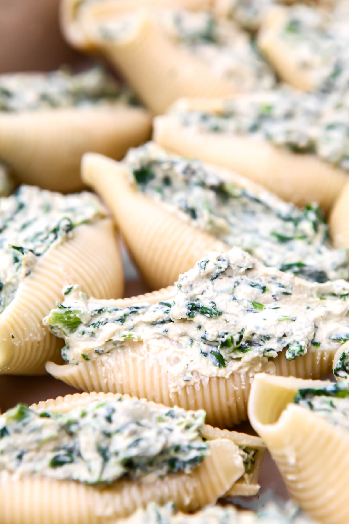 A tray of vegan spinach and ricotta stuffed shells before the sauce has been put on.