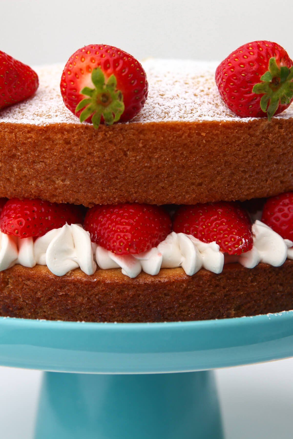 A close up of a double layered vegan Victorian sponge cake with with whipped cream and strawberries.