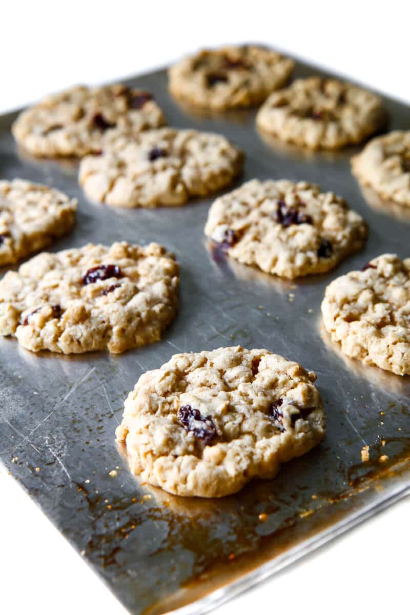 Gluten-free vegan oatmeal raisin cookies on a cookie sheet.
