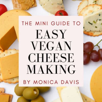vegan cheese making ebook cover