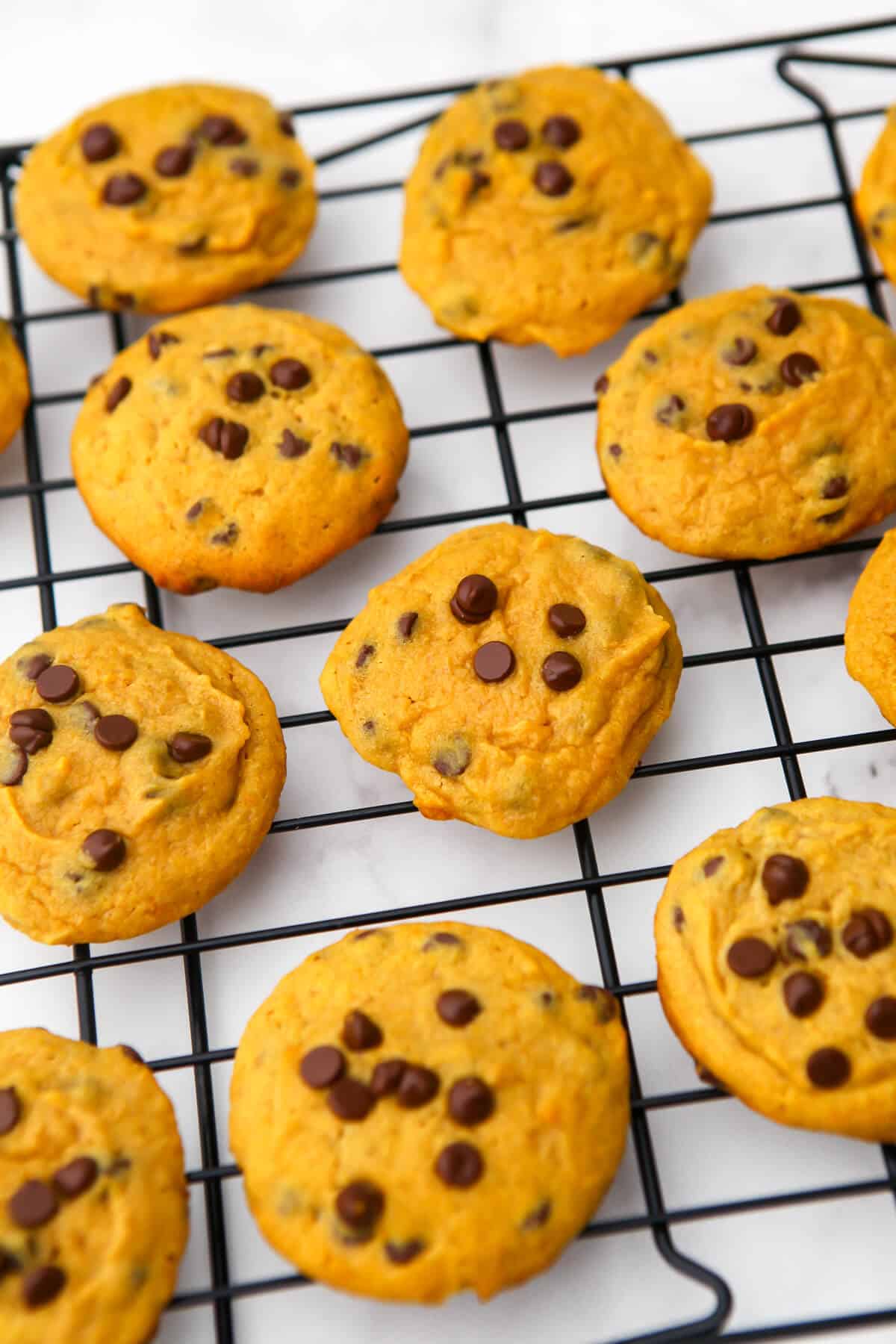Vegan pumpkin cookies with chocolate chips on a cooling wrack.