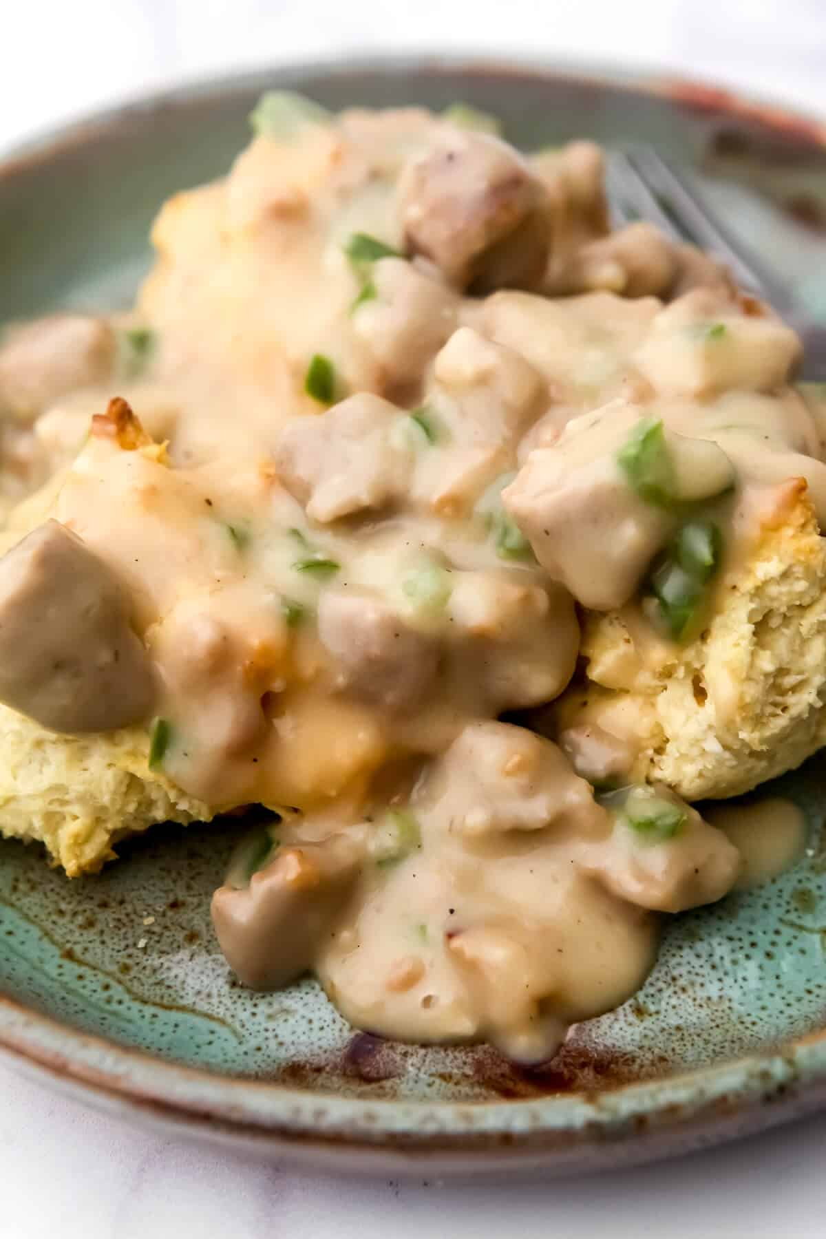 A close up of a plate of vegan biscuits and gravy.