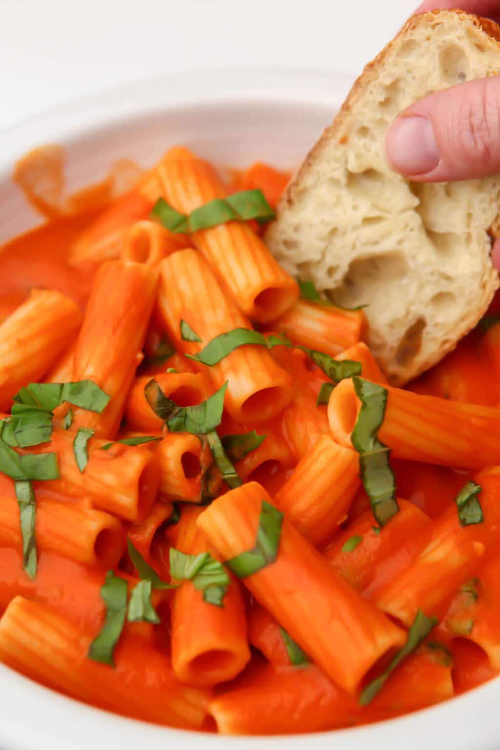 Vegan Vodka Pasta Sauce The Hidden Veggies