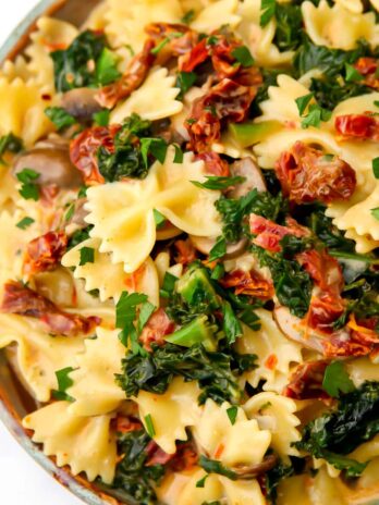 A close up of a white plate filled with vegan sundried tomato pasta.