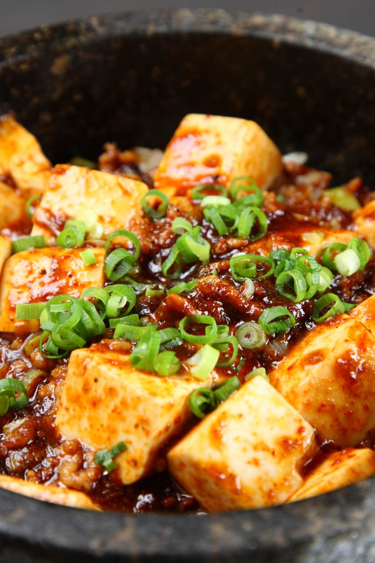 A bowl of cooked tofu with sauce and green onions on top of it.