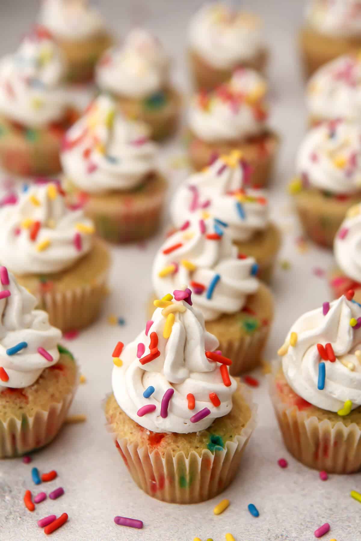 Dozens of little vegan mini funfetti cupcakes on a countertop with sprinkles all around.