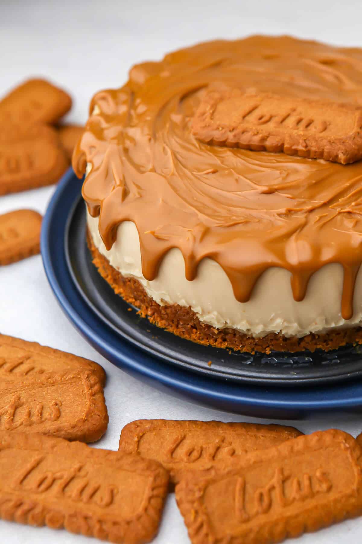 A dairy-free Biscoff cheesecake on a blue plate with cookies around it.
