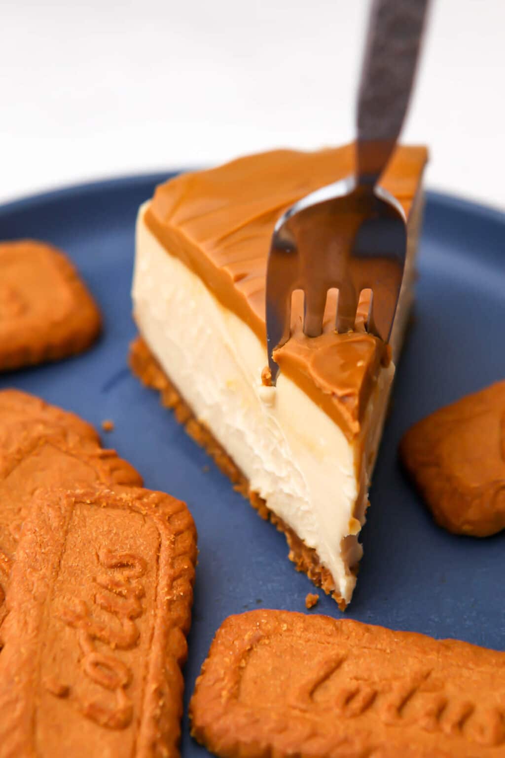 Vegan Biscoff Cheesecake The Hidden Veggies
