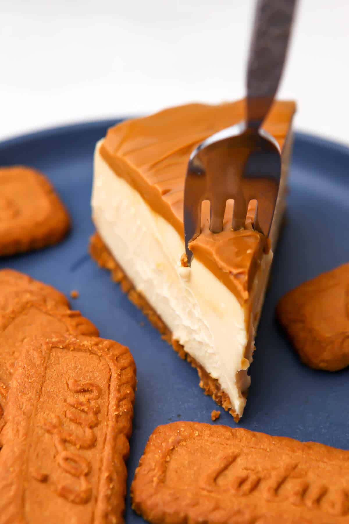 A slice of vegan biscoff cheesecake with a fork in it.