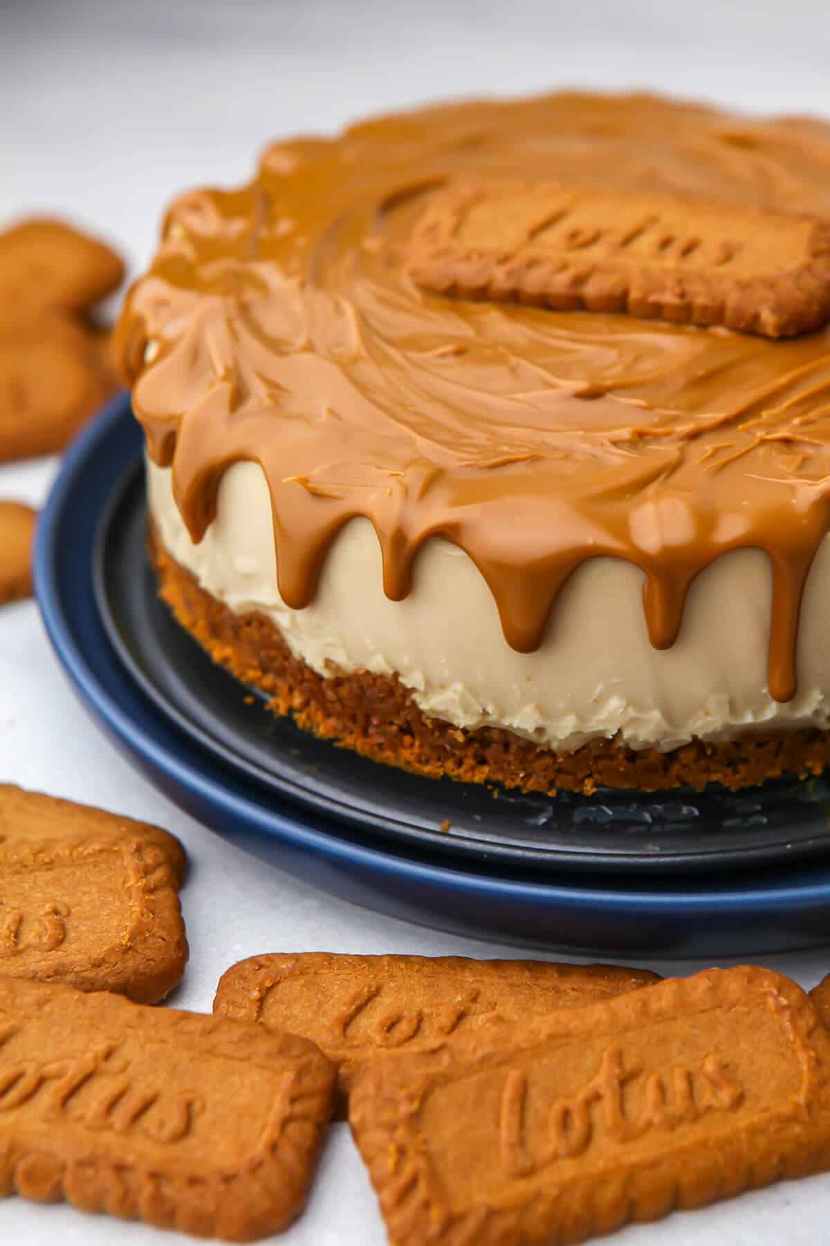 A vegan biscoff cheesecake with cookie butter topping and cookies around it.