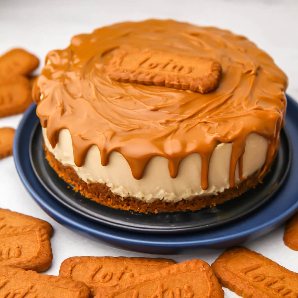 Vegan Biscoff Cheesecake The Hidden Veggies