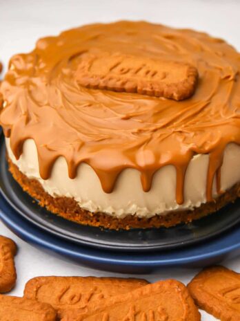 A vegan biscoff cheesecake with biscoff cookie butter on top and dripping over the edges with biscoff cookies around it.