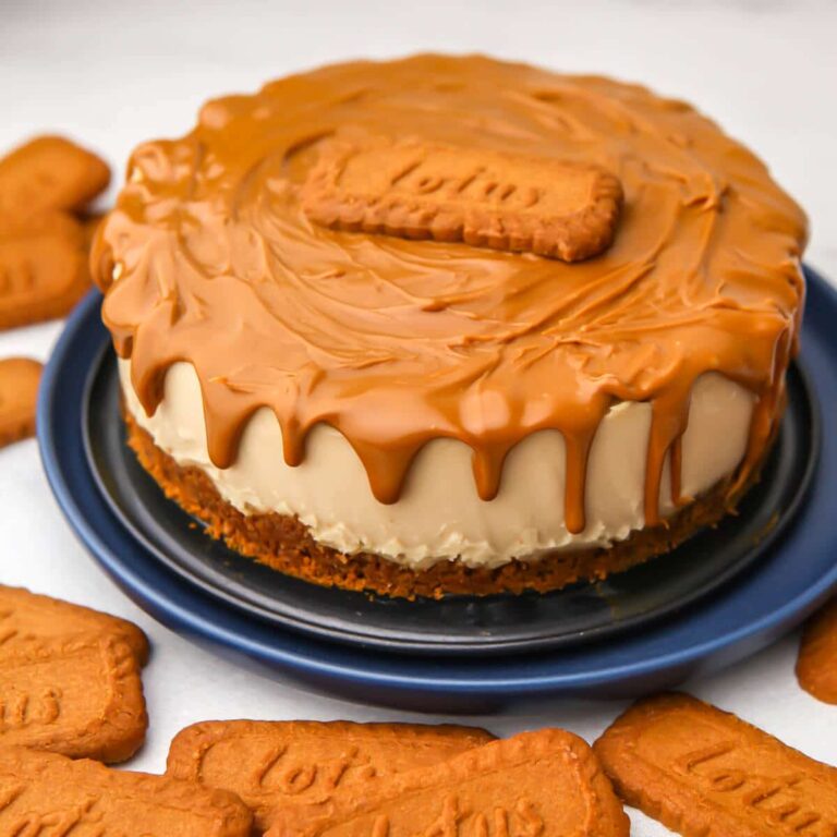 Vegan Biscoff Cheesecake The Hidden Veggies