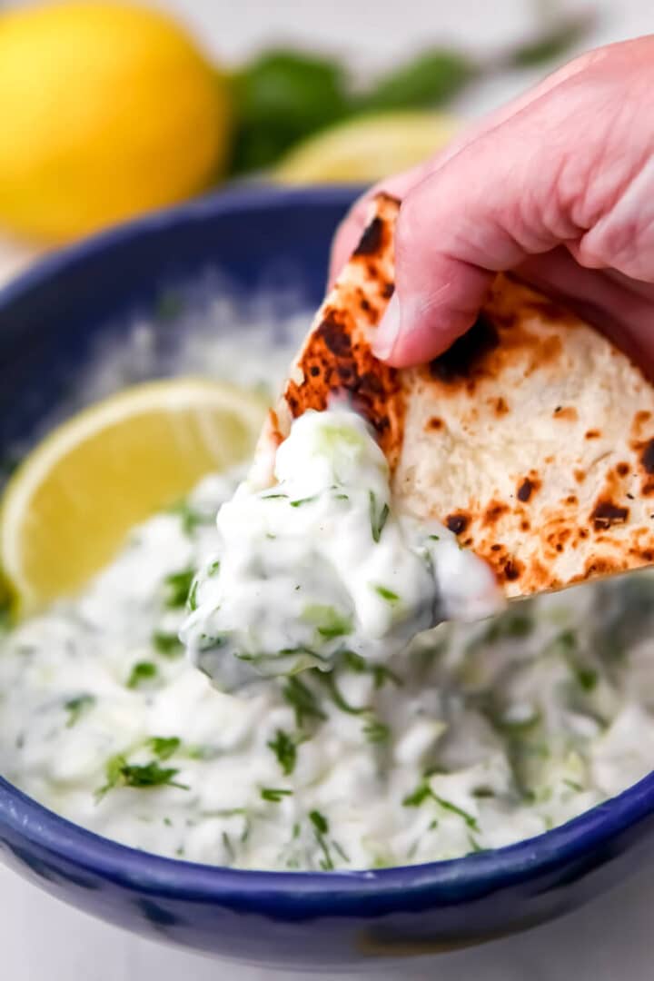 Vegan Tzatziki The Hidden Veggies