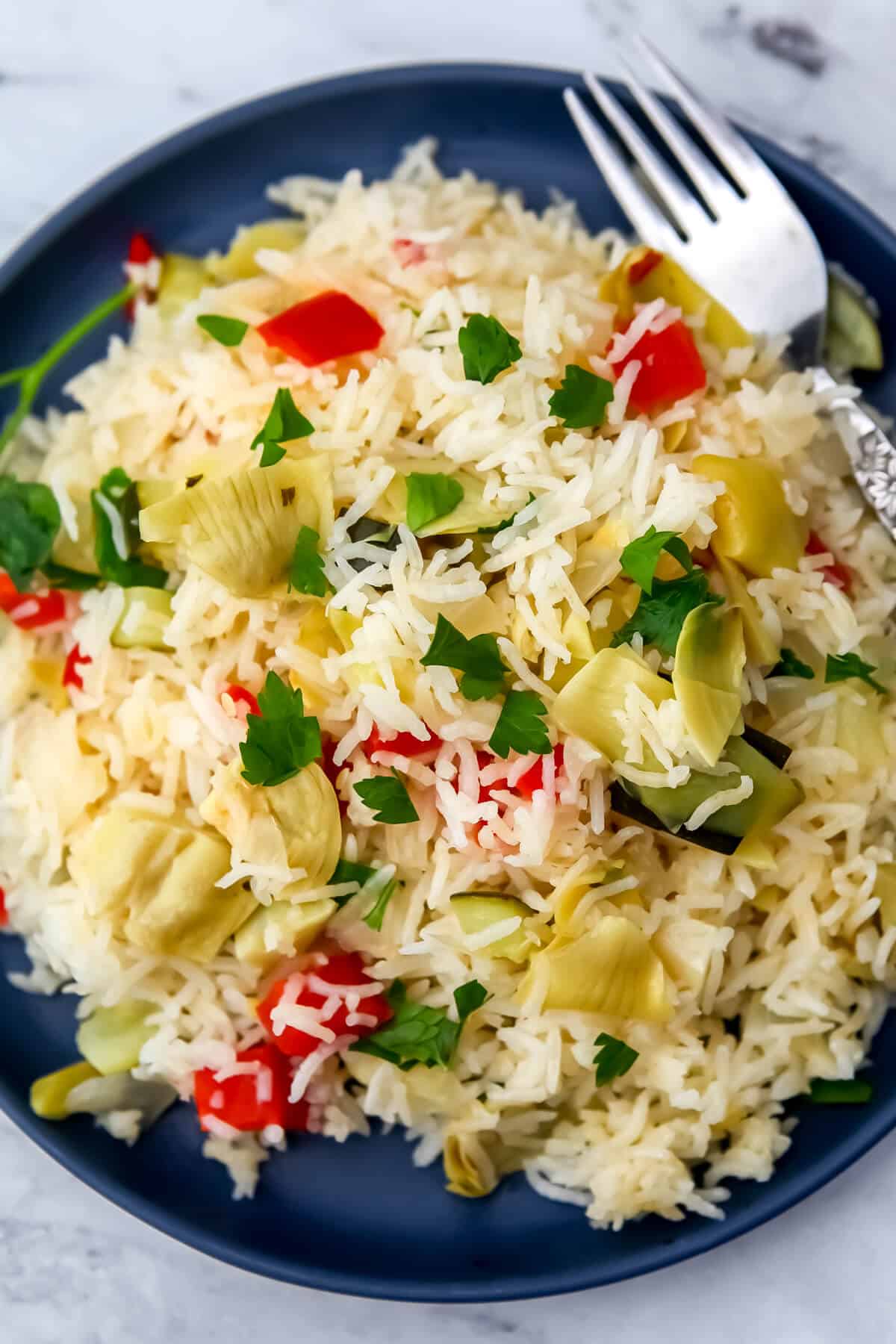 A top view of a plate of vegetable rice pilaf.