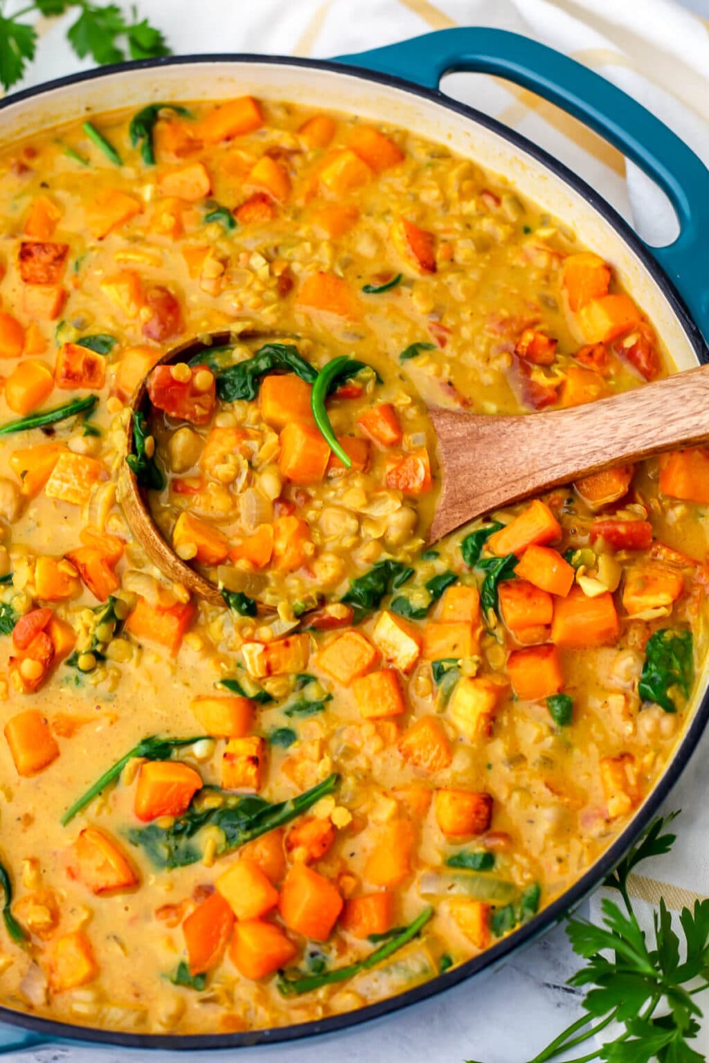 Vegan Butternut Squash and Chickpea Curry with Coconut Milk