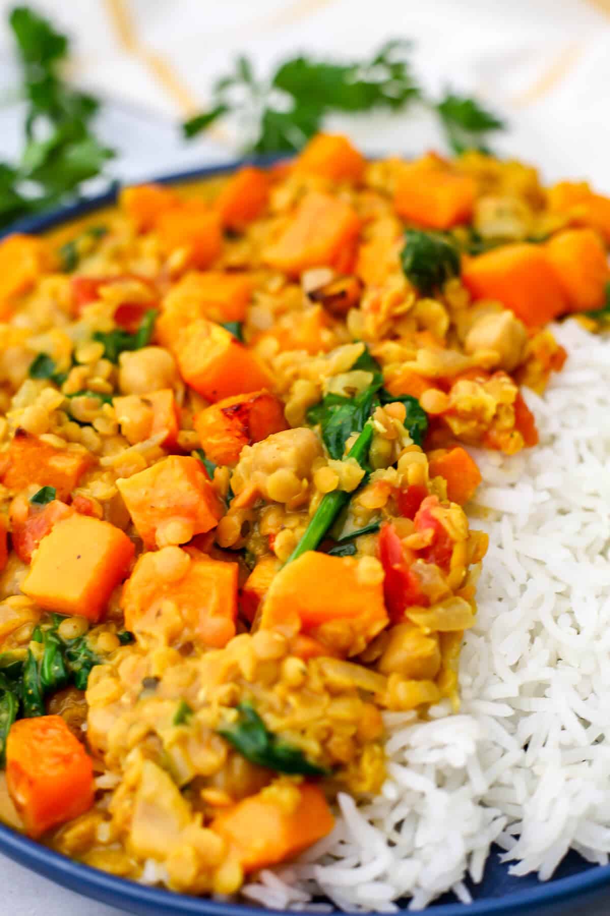 A close up of a plate with white rice and squash curry with chickpeas, lentils, and spinach in a creamy coconut sauce.