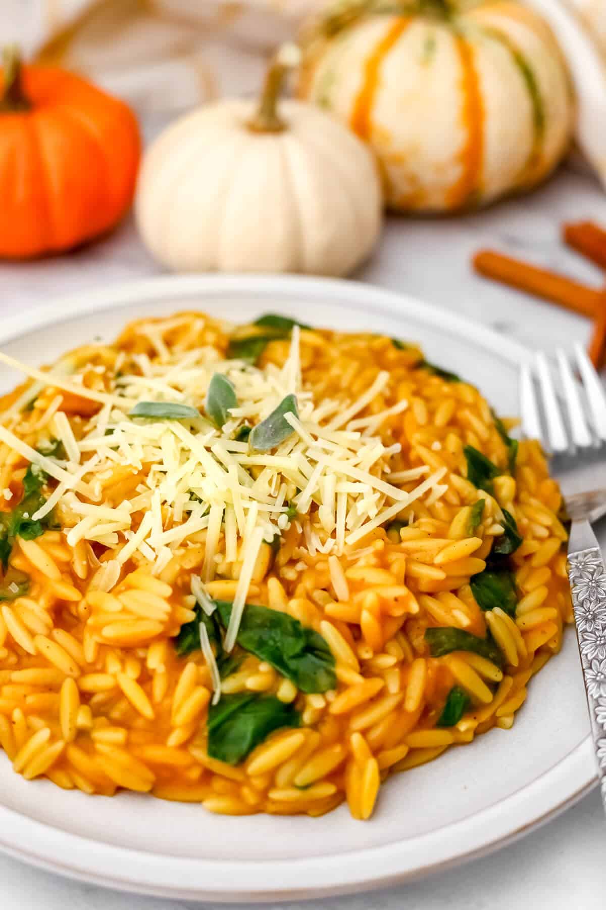 A white plate filled with pumpkin orzo sprinkled with shredded parmesan cheese with little pumpkins in the background.