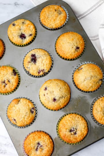 Vegan Blackberry Muffins - The Hidden Veggies